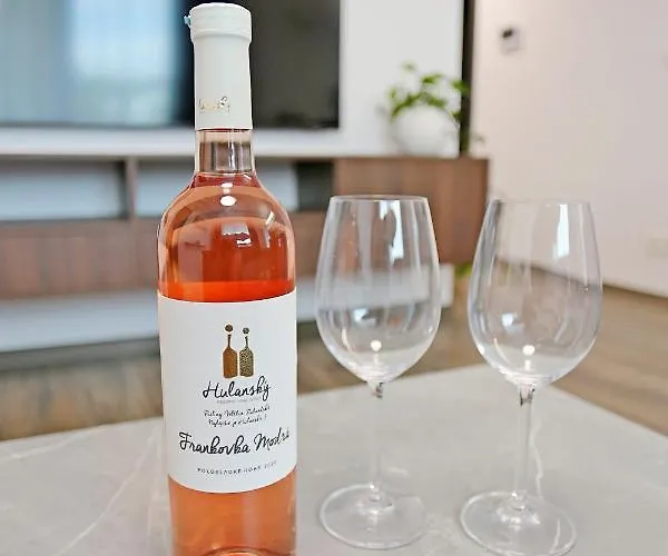 Modern Near The Centre Urban 公寓 布拉迪斯拉发